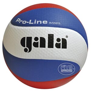Gala 10 panels Proff. Volley