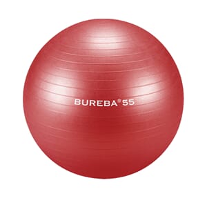 Gymball Bureba 55