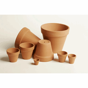 Terracotta potte 5 cm