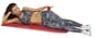 Tr9113_Rel Tr9113_Fig3.jpg