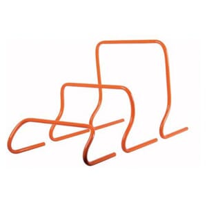 Hekk mini h:15cm