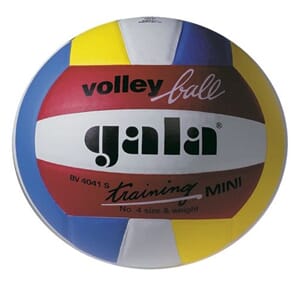 Volleyball mini