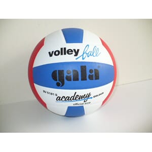 Volleyball Academy Gala
